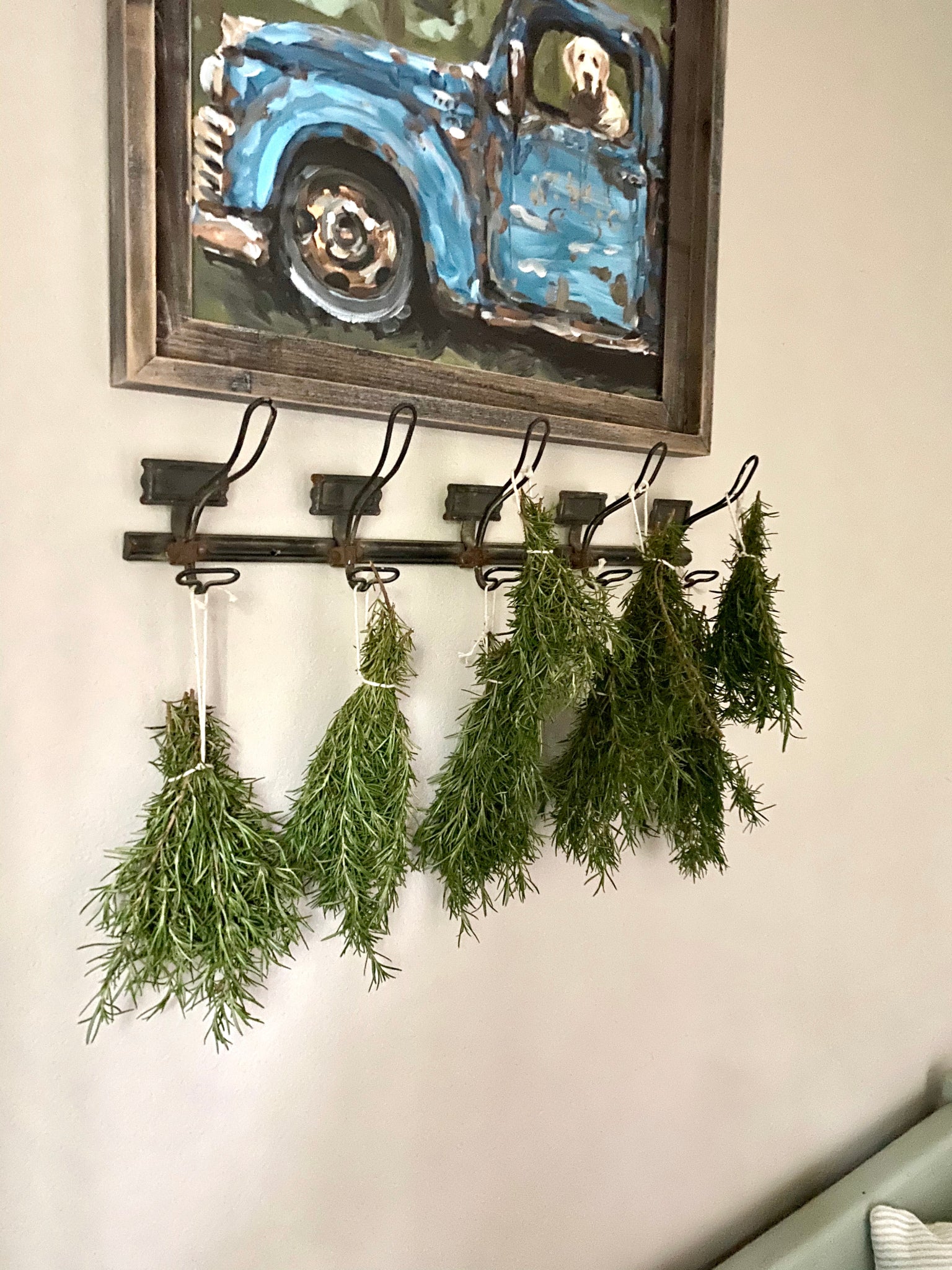 Growing and Drying Your Own Herbs