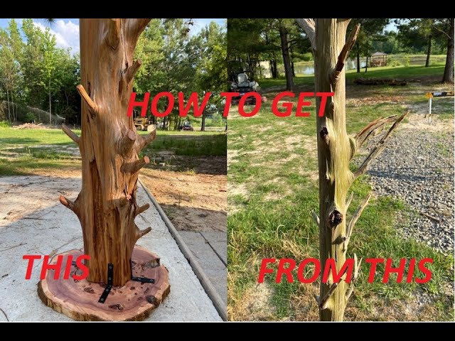 Rustic Cedar Coat Rack by BrownTown (10 months ago)