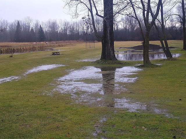 Pre Turkey Day Stuff