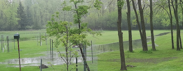 Stay-At-Home Memorial Weekend